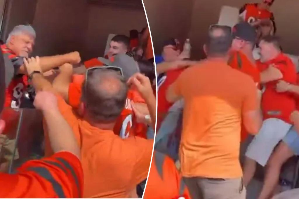 Gaggle of Joe Burrow fans turn on each other in ugly fight