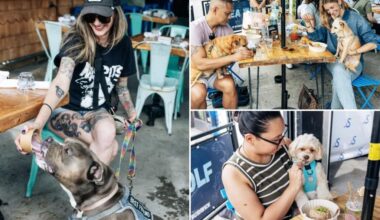 NYC restaurant Sea Wolf launches dogs-only menu packed with classy canine chow