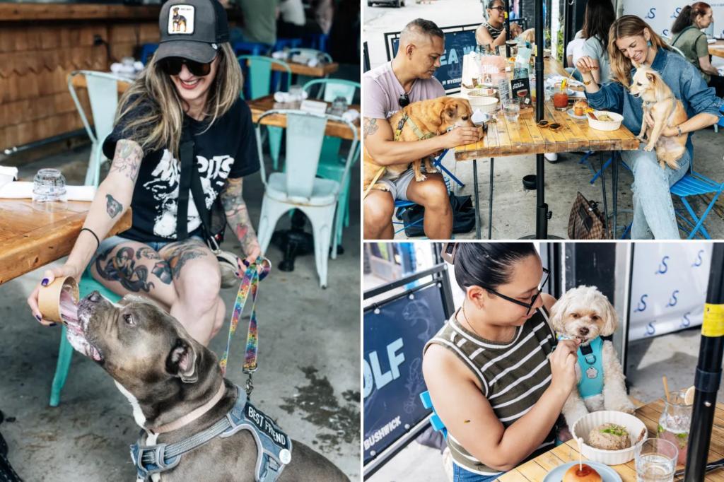 NYC restaurant Sea Wolf launches dogs-only menu packed with classy canine chow