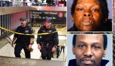 Meet the worst transit terrors on the loose in NYC