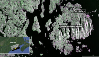Captured on Aug. 21, this image from NISAR’s L-band radar shows Maine’s Mount Desert Island. Green indicates forest; magenta represents hard or regular surfaces, like bare ground and buildings. The magenta area on the island’s northeast end is the town of Bar Harbor.