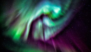 How to Watch the Northern Lights and Spot the Autumn Star This Week