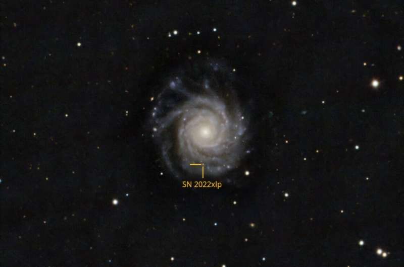 SN 2022xlp hosted by NGC 3938. This picture was taken with the BRC80 telescope in the Baja Astronomical Observatory of the University of Szeged. Credit: University of Szeged. Observations explore a rare type Iax supernova