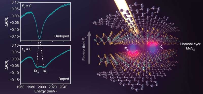 Right: schematic of the device illuminated with white light to study coherence properties of interlayer excitons. Left: when the sample is doped original single-peak observed in reflectance displays an anomalous shape referred to as stochastic anti-crossing. Credit: Liu et al. Optical evidence of interlayer electron coherence in a bilayer semiconductor