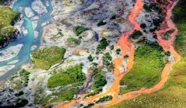 Arctic Rivers Are Turning an Eerie Orange, and This Might Be Why