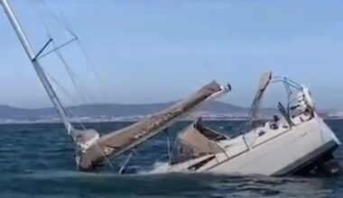 The Mystery Of The Boat-Ramming Iberian Orcas