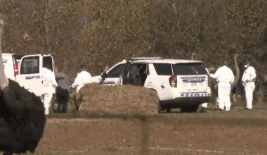 2 people arrested as ostrich cull looms at B.C. farm on Tuesday