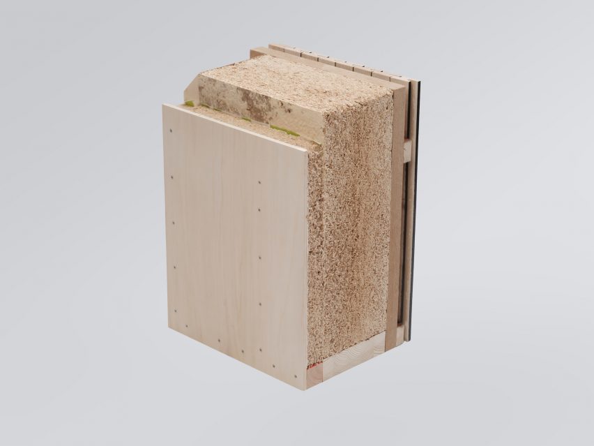 Mycelium insulation
