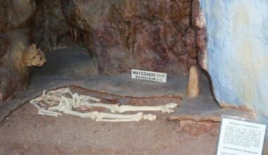 Prehistoric Skull Found Fused to Cave Wall May Have Belonged to Mysterious Ancient Hominid