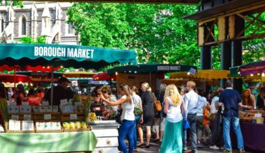 Fresh Bronx Farmers’ Markets to Visit This Fall – New York Family