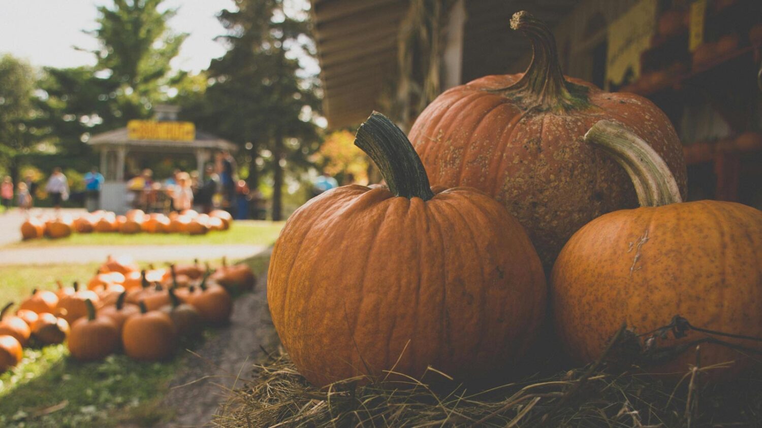 phoenix events calendar...