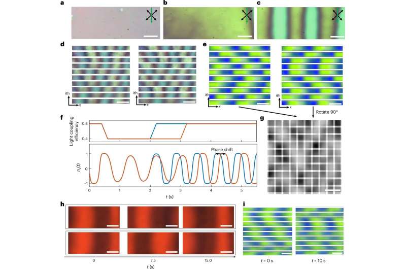 Physicists create a new kind of time crystal that humans can actually see