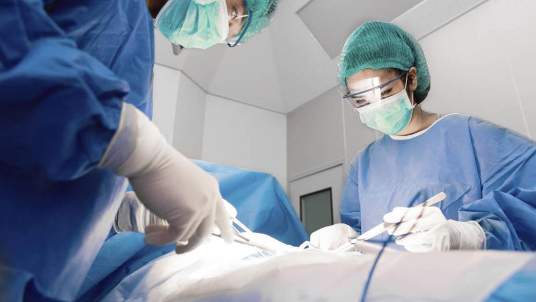 It's official—a pig lung with six genetic modifications has been successfully transplanted into a human patient without immediate rejection