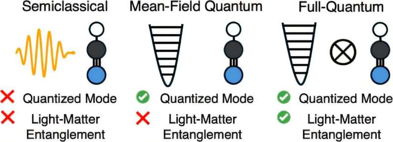Credit: Journal of Chemical Theory and Computation (2025). DOI: 10.1021/acs.jctc.5c00911 Princeton Chemistry's Hammes-Schiffer publishes first principles approach to molecular polaritons
