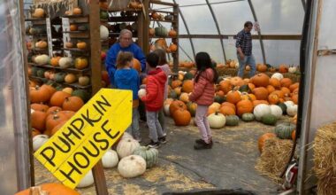Alberta businesses pivot as looming teacher strike cancels field trips