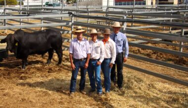 Vendor Mick Madden, Earlwood, Duaringa, with buyers Lindsay and Fiona Barlow of Triple B Brangus, Dingo, and Josh Heck of GDL. Picture by Melanie Groves
