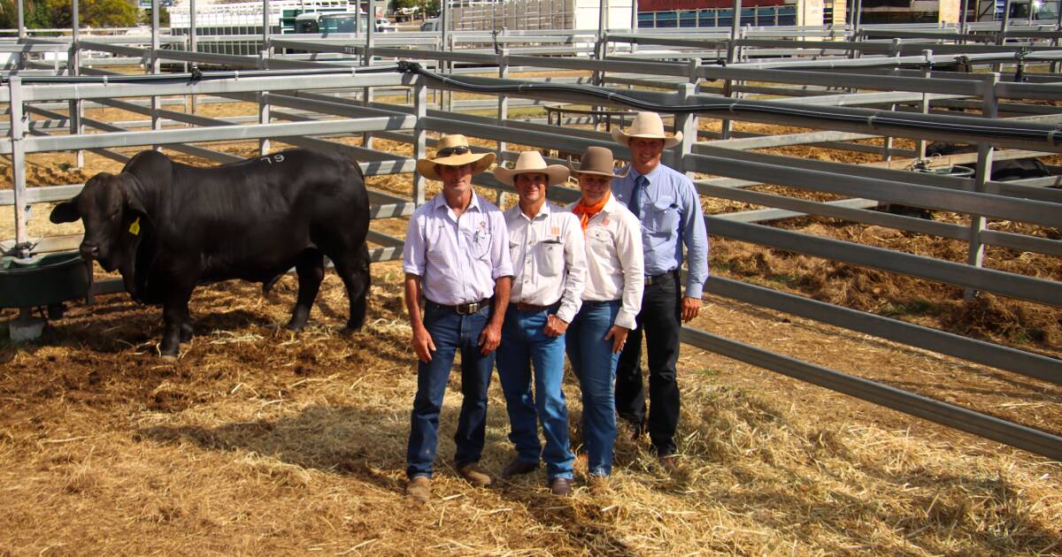 Vendor Mick Madden, Earlwood, Duaringa, with buyers Lindsay and Fiona Barlow of Triple B Brangus, Dingo, and Josh Heck of GDL. Picture by Melanie Groves
