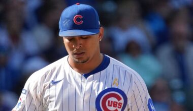 Cubs activate closer Daniel Palencia from injured list