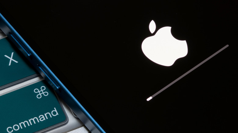 Apple logo when the iPhone is being updated