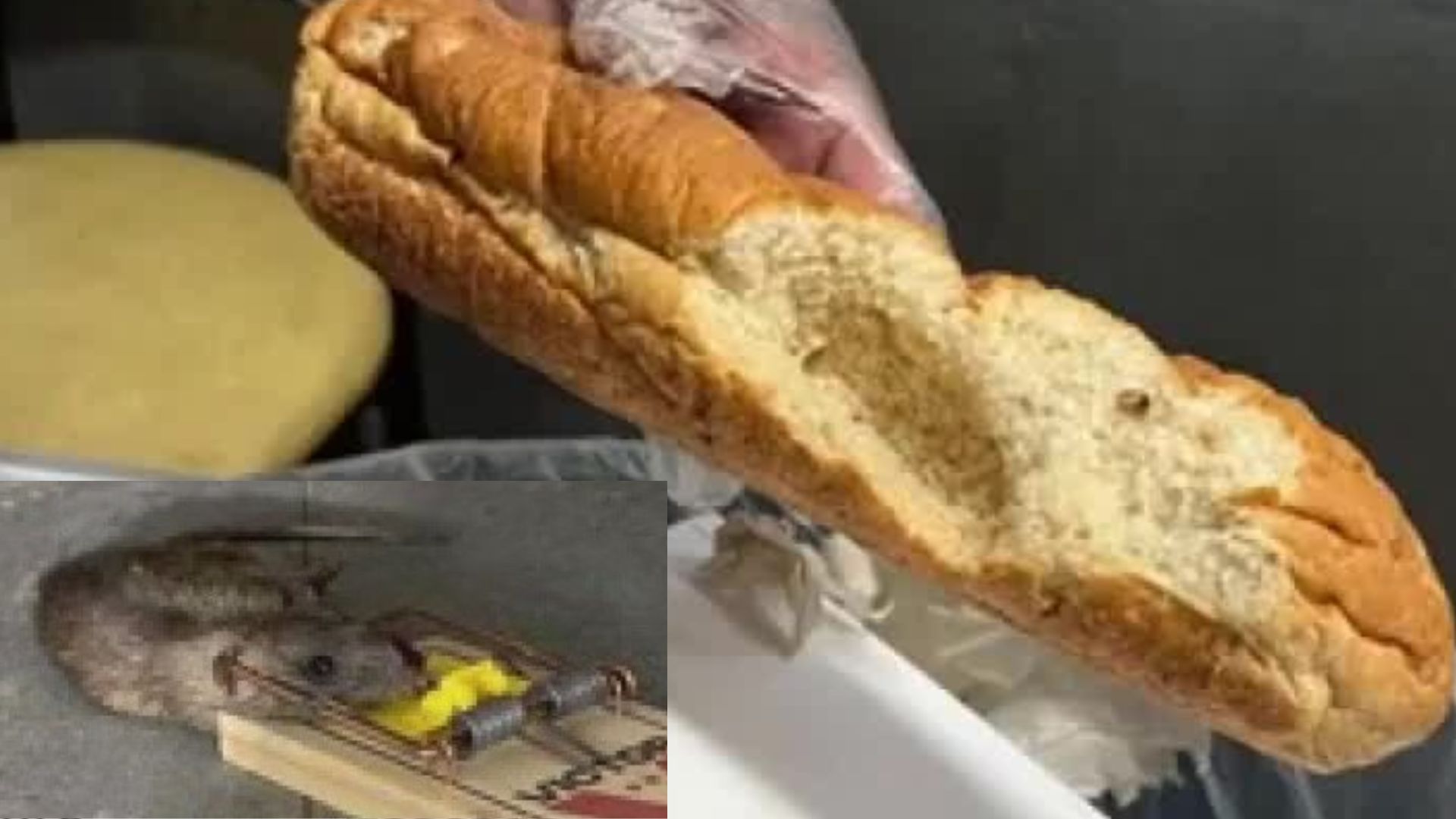 Rats in the kitchen frustrate Subway workers in LA