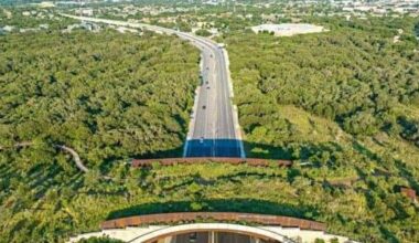 Tobin land bridge wins award and more San Antonio news