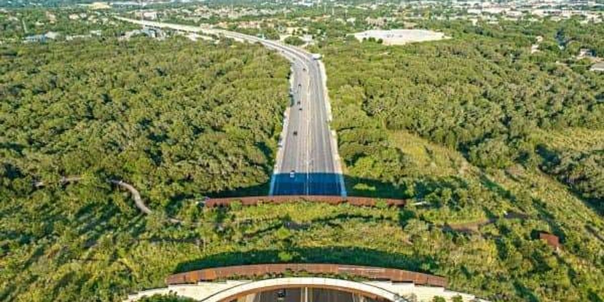 Tobin land bridge wins award and more San Antonio news