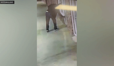 Los Angeles police investigating antisemitic graffiti spray painted on side of Jewish business