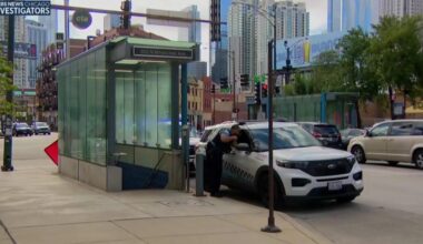 CTA union leader calls for dedicated transit police after string of attacks on workers