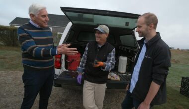 Genetically engineered mice could take the bite out of Lyme disease on Nantucket, scientists say