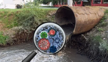 Wastewater Health Surveillance: Tracking Flu, RSV, and COVID-19 Variants from the Sewers Up