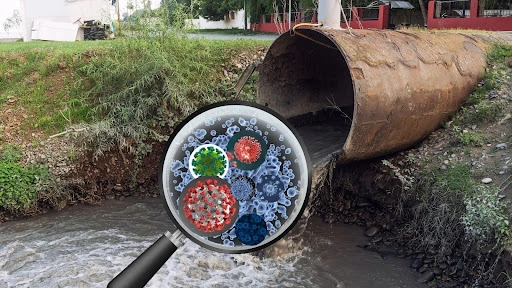 Wastewater Health Surveillance: Tracking Flu, RSV, and COVID-19 Variants from the Sewers Up