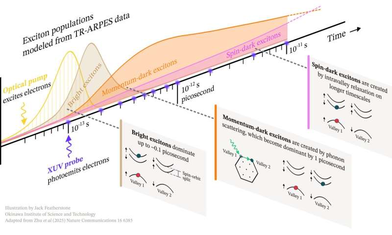 Shining a light on dark valleytronics