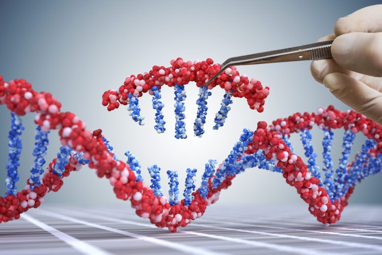 3D illustration of a DNA double helix with a missing segment being held by tweezers, symbolising genetic engineering and CRISPR gene editing.