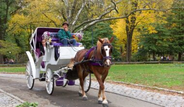 Why Adams flipped on NYC's horse carriage trade