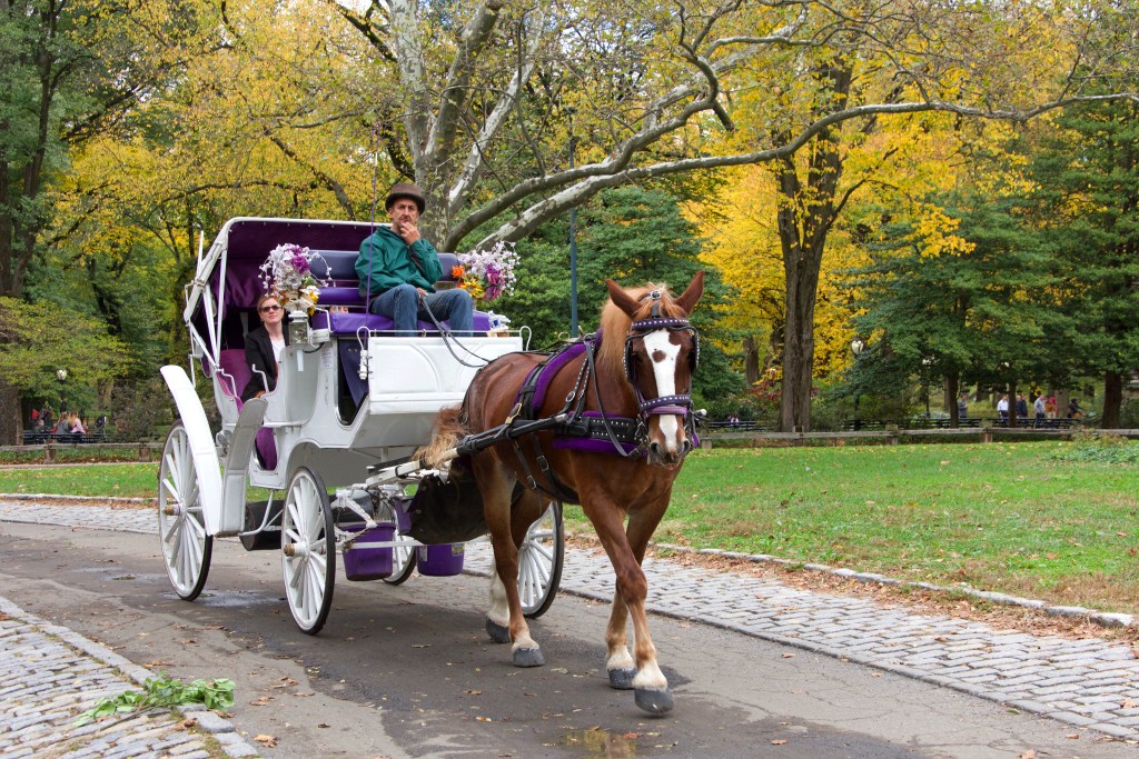 Why Adams flipped on NYC's horse carriage trade