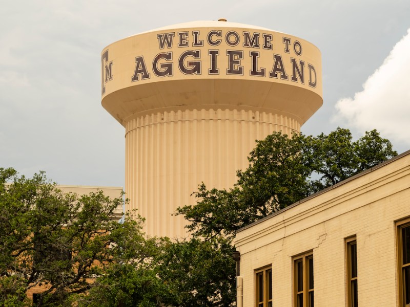 Video of clash over gender-identity content in Texas A&M children’s lit class leads to removals