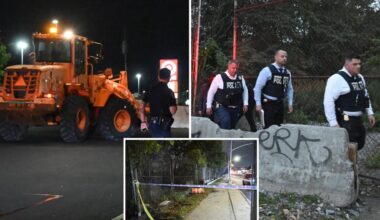 Partial skeletal remains, including human skull, found near NYC strip mall: cops