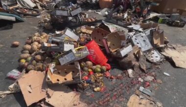 Piles of rotting produce line street near downtown LA