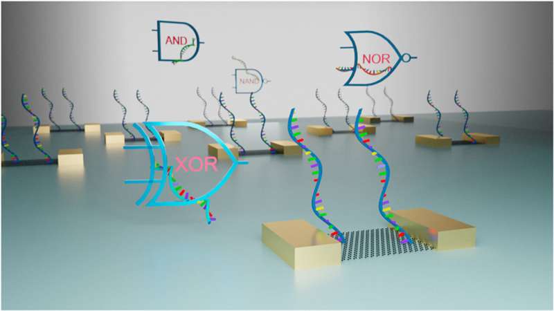 Study highlights potential of biomolecular computing for next-gen integrated circuits