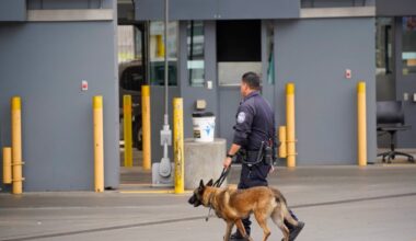 Reports of ‘blind mule’ drug couriers grow in San Diego-Tijuana region. ‘It continues to happen.’ – San Diego Union-Tribune