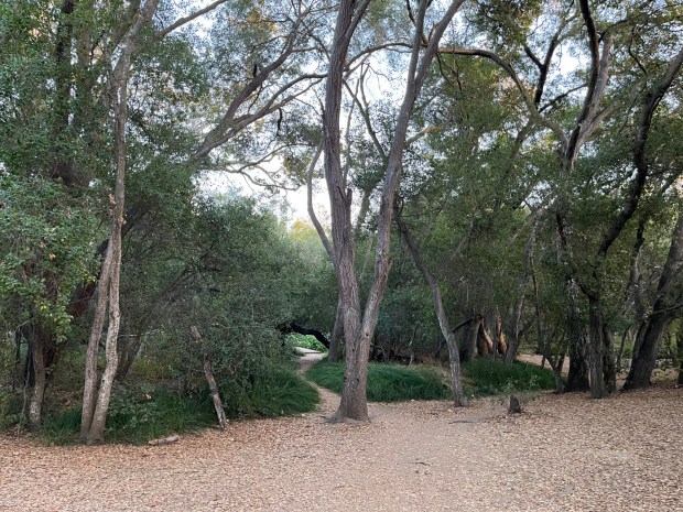 Heading into Carson's Crossing, where hikers will walk across a wooden bridge to reach the South Trail. (Maura Fox / The San Diego Union-Tribune)