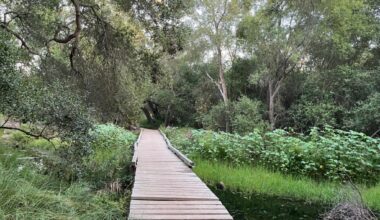 A guide to hiking the Camino Ruiz Trail in San Diego County