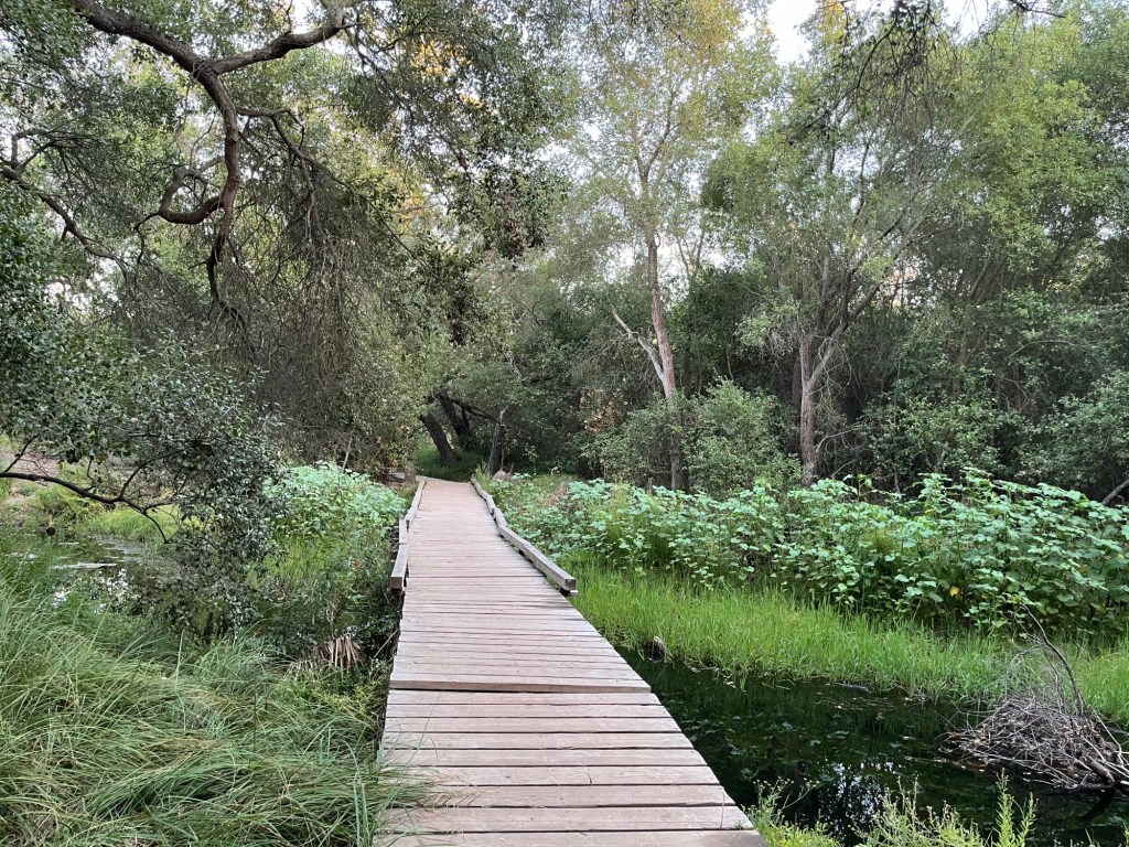 A guide to hiking the Camino Ruiz Trail in San Diego County