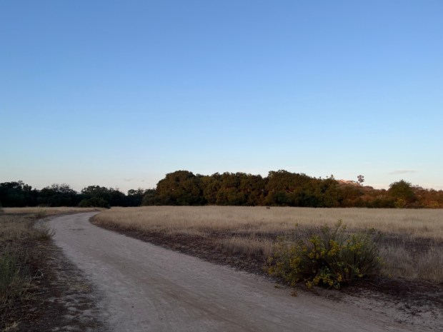 The South Trail, heading east, with a deer grazing in the grass in the distance. (Maura Fox / The San Diego Union-Tribune)
