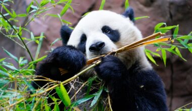 Kids get in free to many San Diego attractions in October – Orange County Register