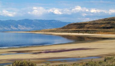 As the Great Salt Lake Shrinks, Something Unexpected Is Rising to the Surface