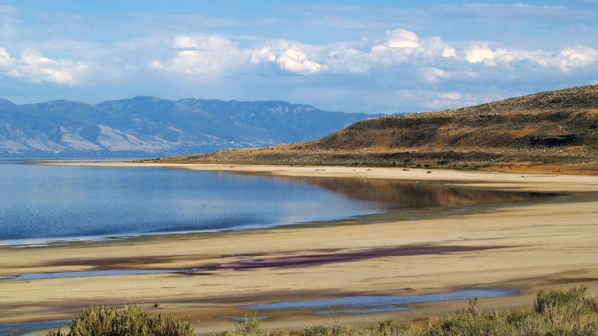 As the Great Salt Lake Shrinks, Something Unexpected Is Rising to the Surface