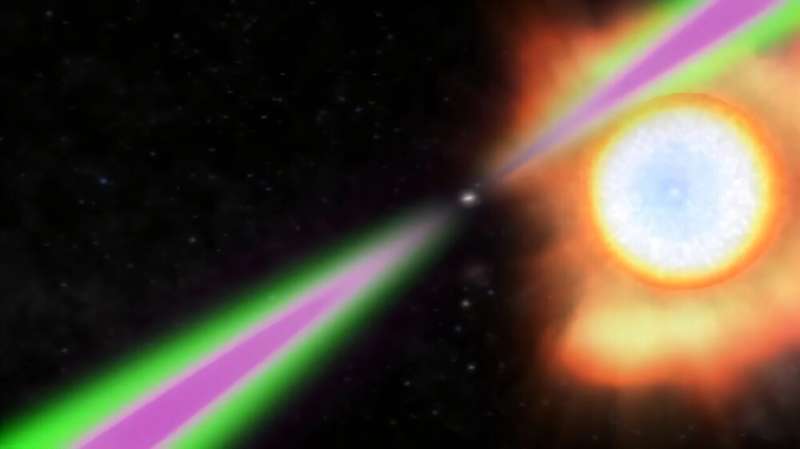 The comparably tiny spider pulsar blasts its much bigger neighboring star with so much energy that the side facing it gets twice as hot as the sun’s surface, slowly burning the star away. Credit: NASA’s Goddard Space Flight Center The spiders that eat stars, and the scientists who catch them