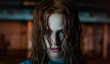 The Strangers 2 Box Office