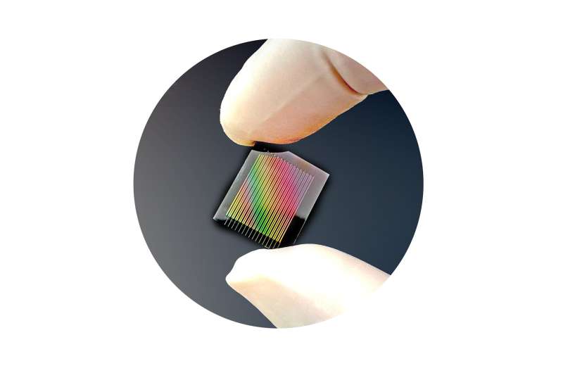 The chip used by Marandi and his colleagues. Credit: Ryoto Sekine Uniting the light spectrum on a chip